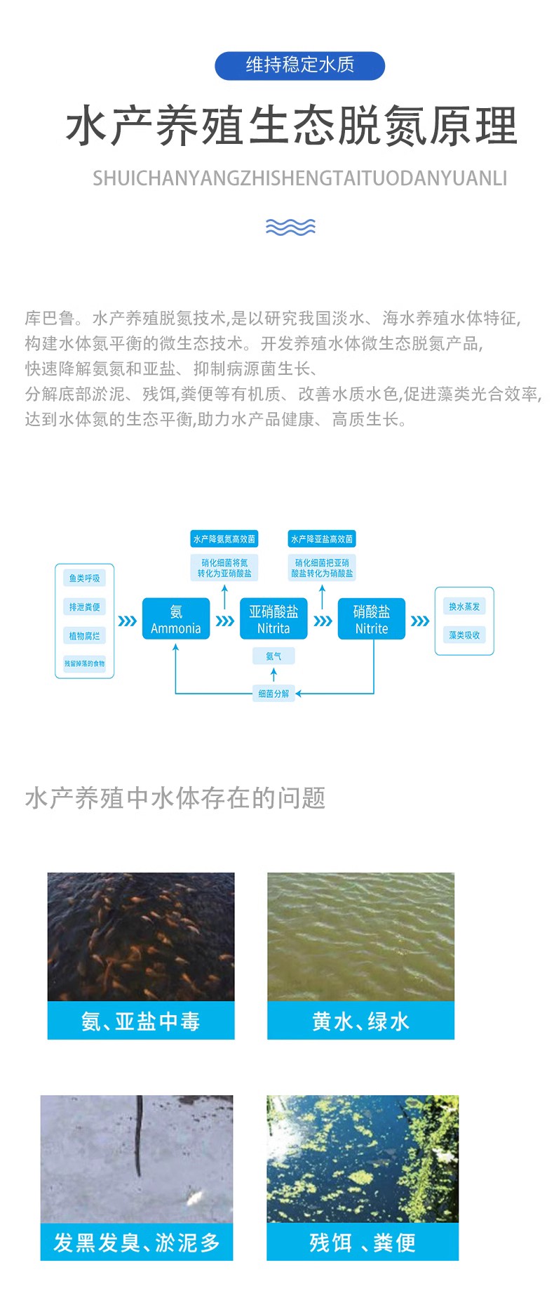 水产养殖3.jpg