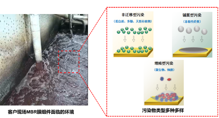 针对难处理屠宰废水，MBR膜该如何选择？