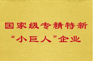 长隆科技入选第四批 国家级专精特新“小巨人”企业